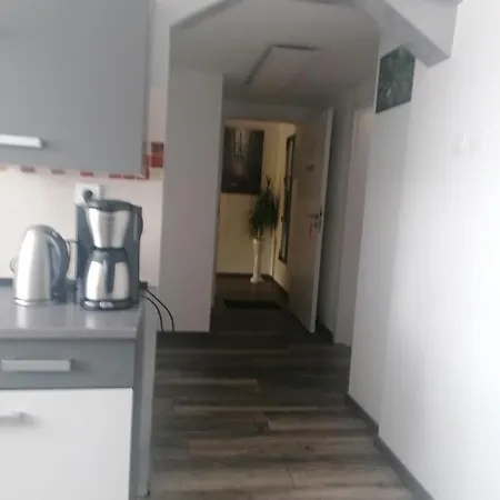 Ferienwohnung Andreea Саарлуис Экстерьер фото