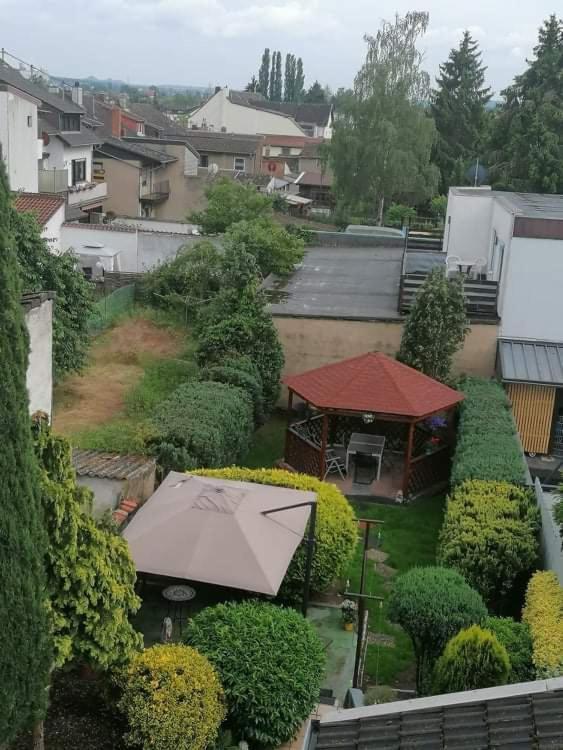 Andreea Appartement